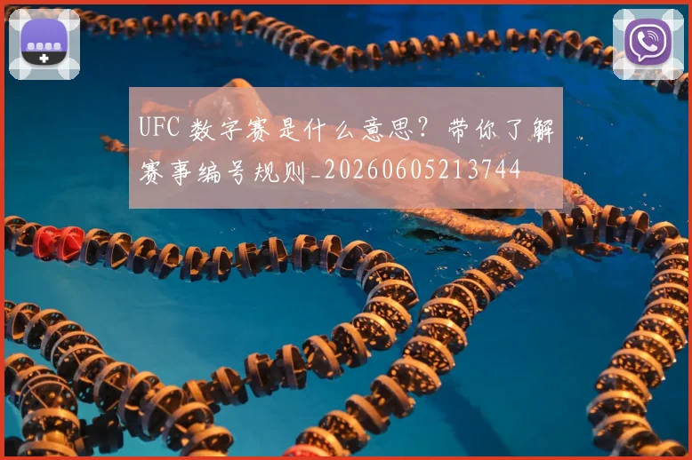 UFC 数字赛是什么意思？带你了解赛事编号规则_20260605213744