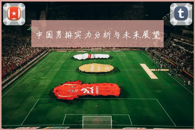 中国男排实力分析与未来展望