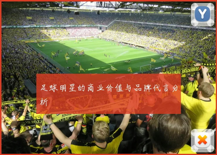 足球明星的商业价值与品牌代言分析